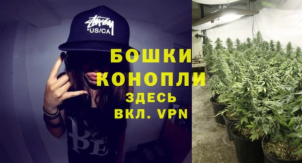 крисы Семикаракорск