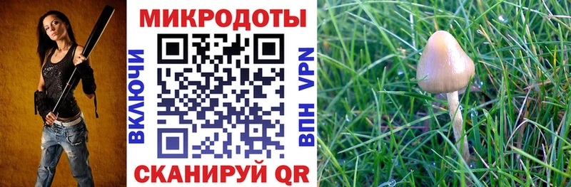Псилоцибиновые грибы мухоморы  Дубовка 